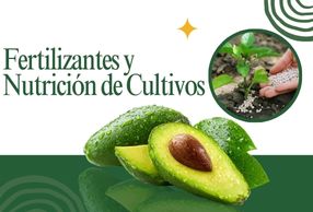 Hacesoria personalidad (2)