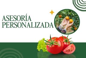 Hacesoria personalidad (6)