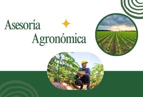 Hacesoria personalidad (7)